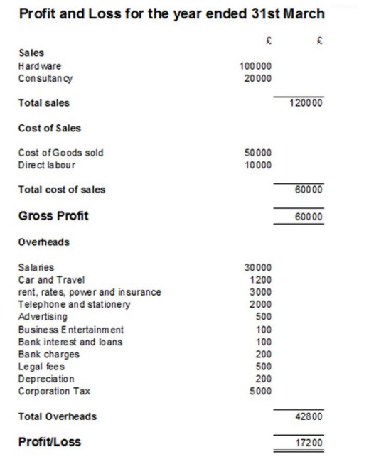 Example of a Profit and Loss Statement