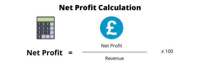 Net profit margin calculation